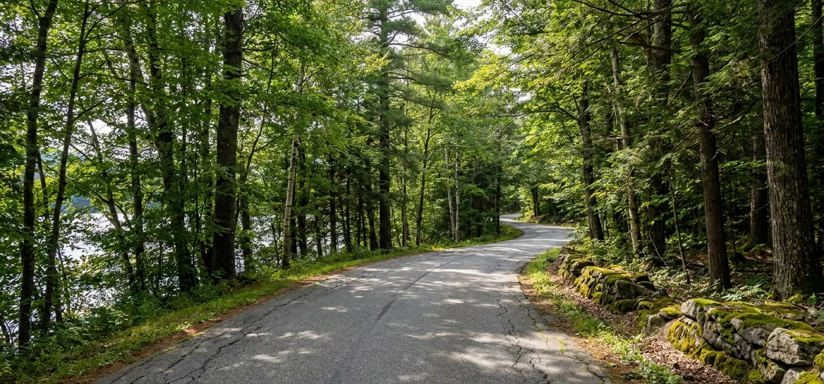 County Route 26 running past camps and woods at Loon Lake, New York