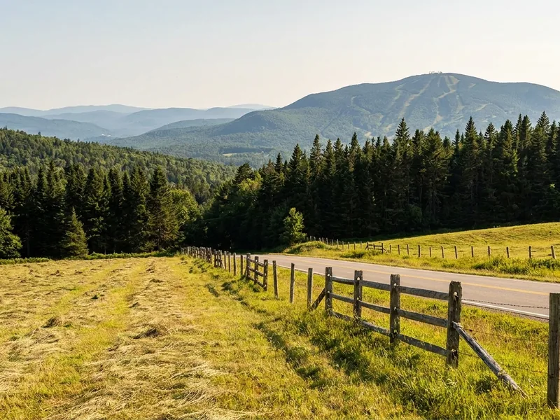 Open pasture and ridgeline in Vermontville, New York