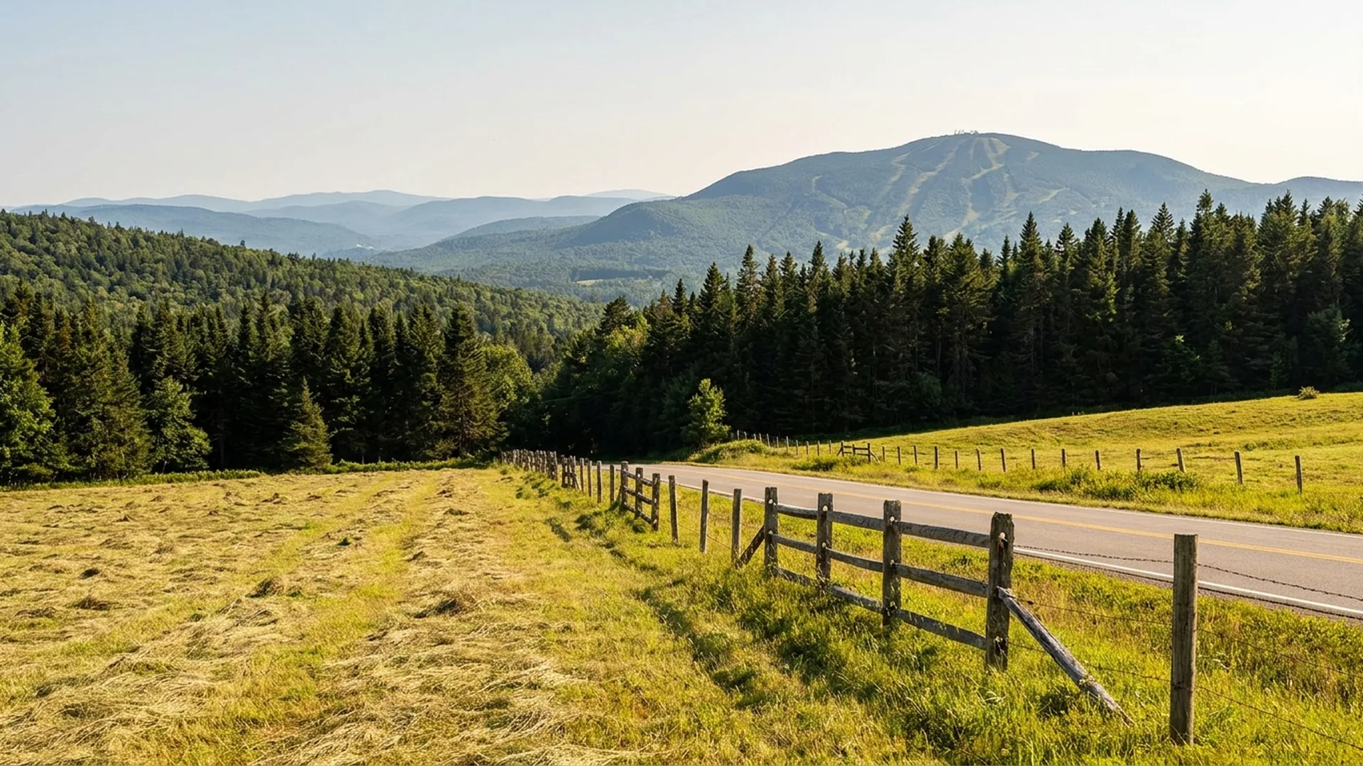 Open pasture on Norman Ridge looking toward the back side of Whiteface Mountain in Vermontville, New York